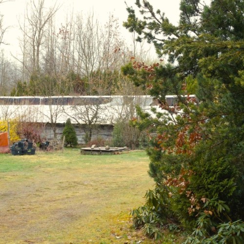 Photo 6 at 24183 Fraser Highway, Salmon River, Langley