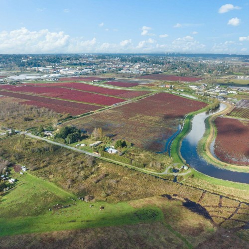 Photo 27 at 15729 48 Avenue, Serpentine, Cloverdale Photo 27 at 15729 48 Avenue, Serpentine, Cloverdale