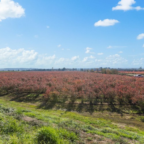 Photo 17 at 15729 48 Avenue, Serpentine, Cloverdale Photo 17 at 15729 48 Avenue, Serpentine, Cloverdale