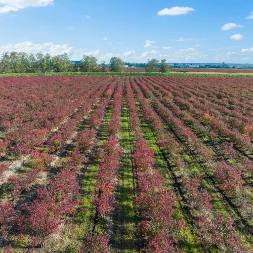 Photo 16 at 15729 48 Avenue, Serpentine, Cloverdale Photo 16 at 15729 48 Avenue, Serpentine, Cloverdale