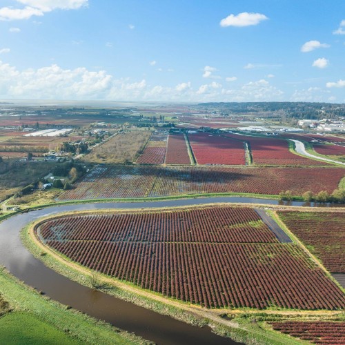 Photo 26 at 15729 48 Avenue, Serpentine, Cloverdale Photo 26 at 15729 48 Avenue, Serpentine, Cloverdale