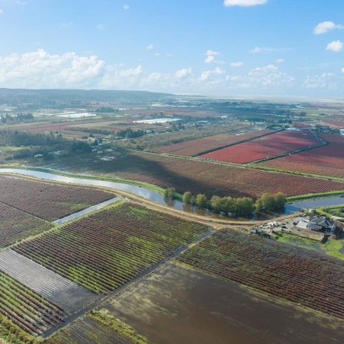 Photo 28 at 15729 48 Avenue, Serpentine, Cloverdale Photo 28 at 15729 48 Avenue, Serpentine, Cloverdale