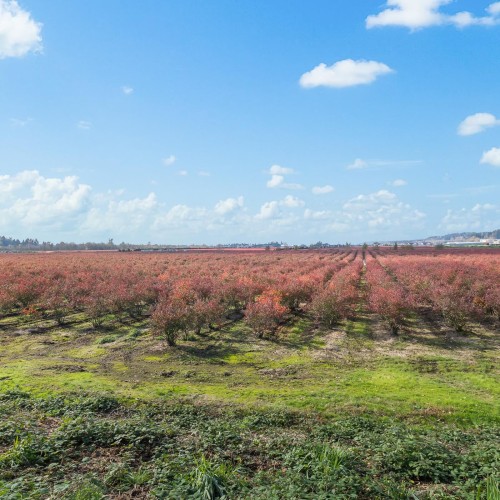 Photo 20 at 15729 48 Avenue, Serpentine, Cloverdale Photo 20 at 15729 48 Avenue, Serpentine, Cloverdale