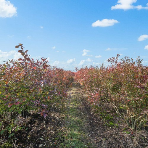 Photo 24 at 15729 48 Avenue, Serpentine, Cloverdale Photo 24 at 15729 48 Avenue, Serpentine, Cloverdale