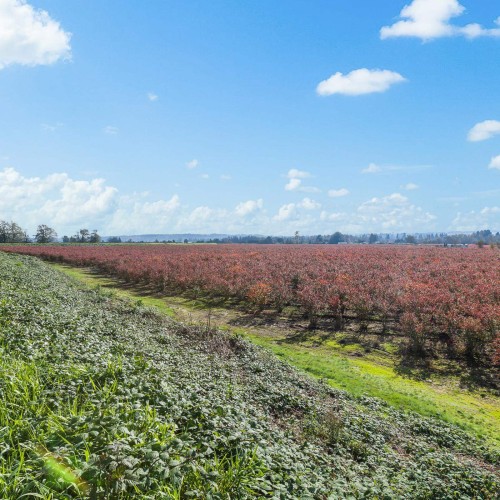 Photo 18 at 15729 48 Avenue, Serpentine, Cloverdale Photo 18 at 15729 48 Avenue, Serpentine, Cloverdale