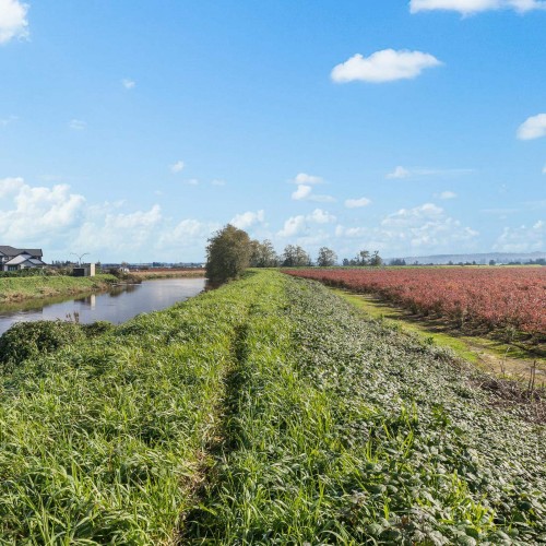 Photo 19 at 15729 48 Avenue, Serpentine, Cloverdale Photo 19 at 15729 48 Avenue, Serpentine, Cloverdale