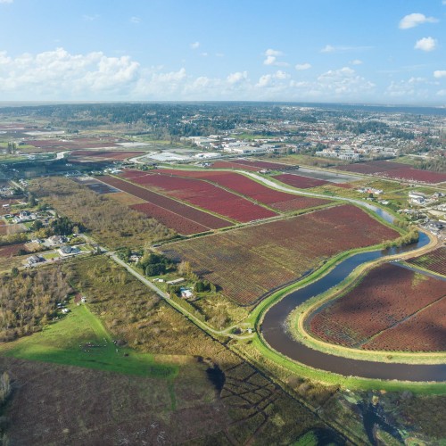 Photo 25 at 15729 48 Avenue, Serpentine, Cloverdale Photo 25 at 15729 48 Avenue, Serpentine, Cloverdale