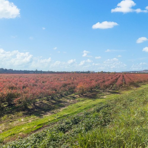 Photo 21 at 15729 48 Avenue, Serpentine, Cloverdale Photo 21 at 15729 48 Avenue, Serpentine, Cloverdale