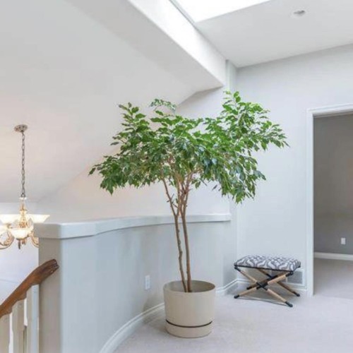 Photo 26 at 9493 163 Street, Fleetwood Tynehead, Surrey Photo 26 at 9493 163 Street, Fleetwood Tynehead, Surrey