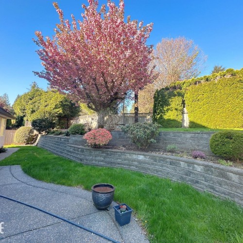 Photo 34 at 9493 163 Street, Fleetwood Tynehead, Surrey Photo 34 at 9493 163 Street, Fleetwood Tynehead, Surrey
