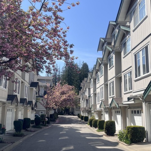 Photo 17 at 79 - 12711 64 Avenue, West Newton, Surrey Photo 17 at 79 - 12711 64 Avenue, West Newton, Surrey