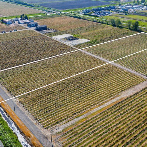 Photo 6 at 16623 Colebrook Road, Cloverdale BC, Cloverdale Photo 6 at 16623 Colebrook Road, Cloverdale BC, Cloverdale