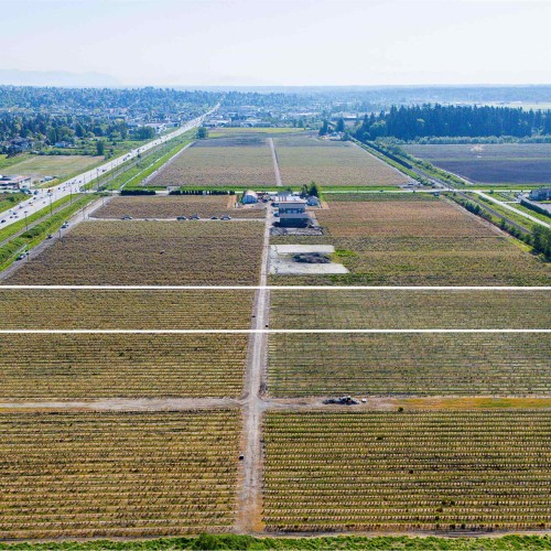 Photo 7 at 16623 Colebrook Road, Cloverdale BC, Cloverdale Photo 7 at 16623 Colebrook Road, Cloverdale BC, Cloverdale