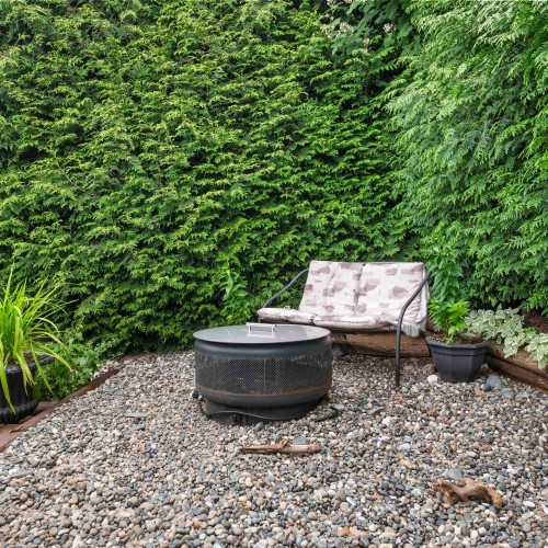 Photo 22 at 22 - 8254 134 Street, Queen Mary Park Surrey, Surrey Photo 22 at 22 - 8254 134 Street, Queen Mary Park Surrey, Surrey