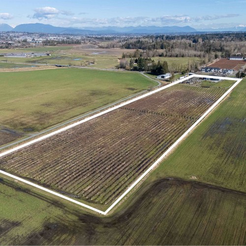 Photo 34 at 4371 184 Street, Serpentine, Cloverdale Photo 34 at 4371 184 Street, Serpentine, Cloverdale