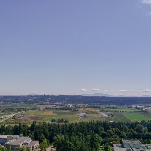 Photo 29 at 50 - 5858 142 Street, Sullivan Station, Surrey Photo 29 at 50 - 5858 142 Street, Sullivan Station, Surrey