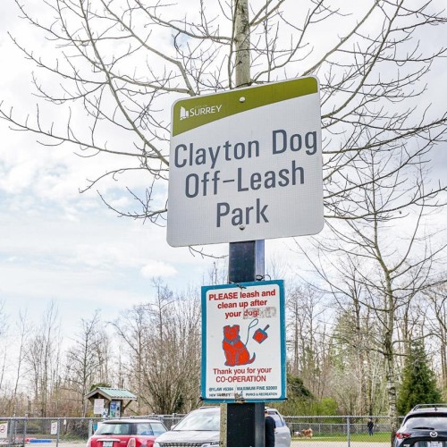 Photo 34 at #7 - 6895 188 Street, Clayton, Cloverdale Photo 34 at #7 - 6895 188 Street, Clayton, Cloverdale