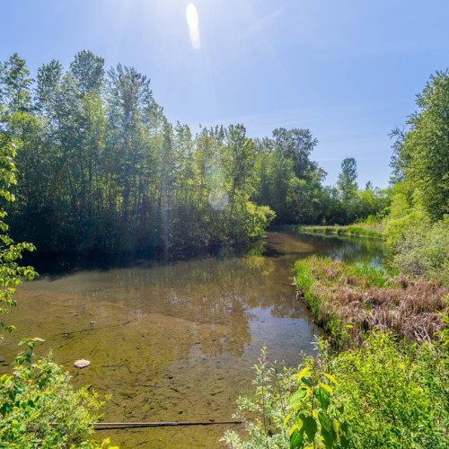 Photo 39 at #7 - 6895 188 Street, Clayton, Cloverdale Photo 39 at #7 - 6895 188 Street, Clayton, Cloverdale