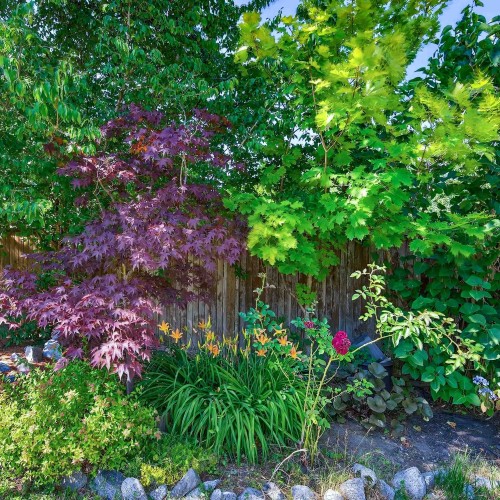 Photo 39 at 7848 161 Street, Fleetwood Tynehead, Surrey Photo 39 at 7848 161 Street, Fleetwood Tynehead, Surrey