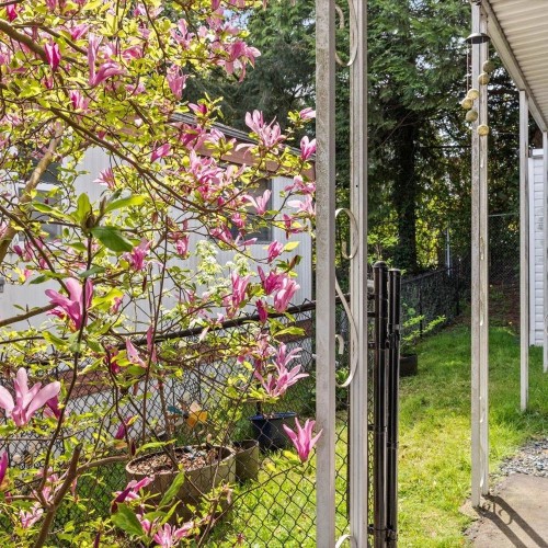 Photo 24 at 3 - 8220 King George Boulevard, Bear Creek Green Timbers, Surrey Photo 24 at 3 - 8220 King George Boulevard, Bear Creek Green Timbers, Surrey