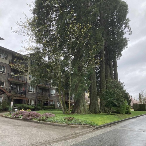 Photo 32 at 304 - 16068 83 Avenue, Fleetwood Tynehead, Surrey Photo 32 at 304 - 16068 83 Avenue, Fleetwood Tynehead, Surrey