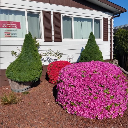 Photo 23 at 126 - 8234 134 Street, Queen Mary Park Surrey, Surrey Photo 23 at 126 - 8234 134 Street, Queen Mary Park Surrey, Surrey