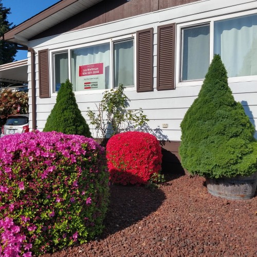 Photo 22 at 126 - 8234 134 Street, Queen Mary Park Surrey, Surrey Photo 22 at 126 - 8234 134 Street, Queen Mary Park Surrey, Surrey