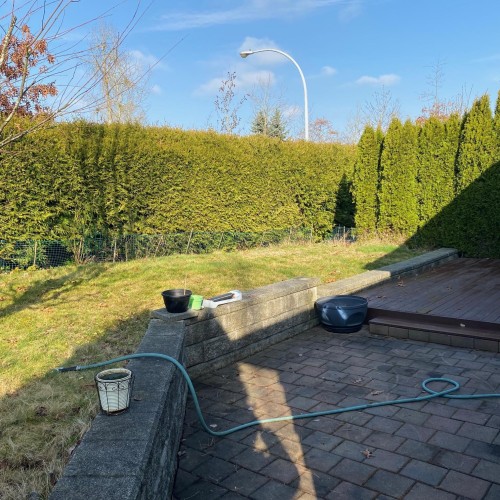 Photo 4 at 126 - 8234 134 Street, Queen Mary Park Surrey, Surrey Photo 4 at 126 - 8234 134 Street, Queen Mary Park Surrey, Surrey