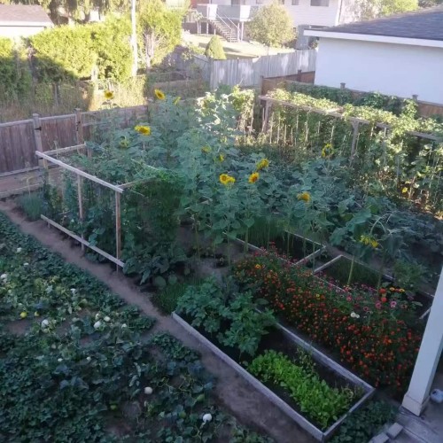 Photo 4 at 9669 133a Street, Whalley, North Surrey Photo 4 at 9669 133a Street, Whalley, North Surrey