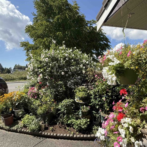 Photo 38 at 7688 120a Street, West Newton, Surrey Photo 38 at 7688 120a Street, West Newton, Surrey