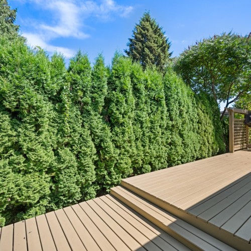 Photo 32 at 14735 109a Avenue, Bolivar Heights, North Surrey Photo 32 at 14735 109a Avenue, Bolivar Heights, North Surrey