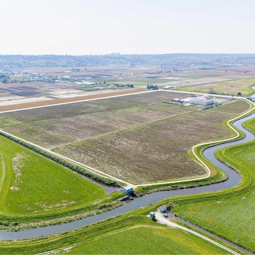 Photo 29 at 4586 176 Street, Serpentine, Cloverdale Photo 29 at 4586 176 Street, Serpentine, Cloverdale