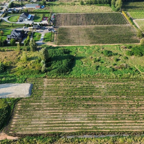 Photo 2 at 8476 184 Street Street, Port Kells, North Surrey Photo 2 at 8476 184 Street Street, Port Kells, North Surrey