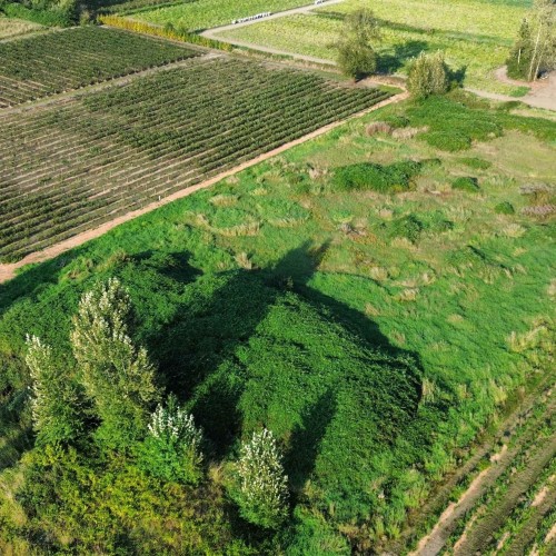 Photo 3 at 8476 184 Street Street, Port Kells, North Surrey Photo 3 at 8476 184 Street Street, Port Kells, North Surrey