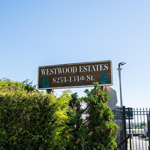 Photo 33 at 69 - 8254 134 Street, Queen Mary Park Surrey, Surrey Photo 33 at 69 - 8254 134 Street, Queen Mary Park Surrey, Surrey