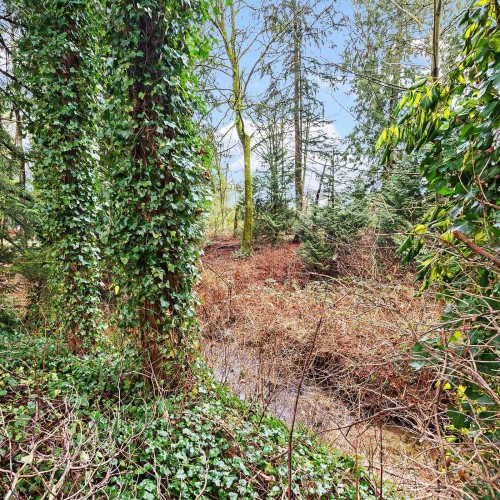 Photo 29 at 10595 154a Street, Guildford, North Surrey Photo 29 at 10595 154a Street, Guildford, North Surrey