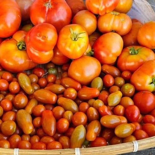 Photo 38 at 58 - 8220 King George Boulevard, East Newton, Surrey Photo 38 at 58 - 8220 King George Boulevard, East Newton, Surrey