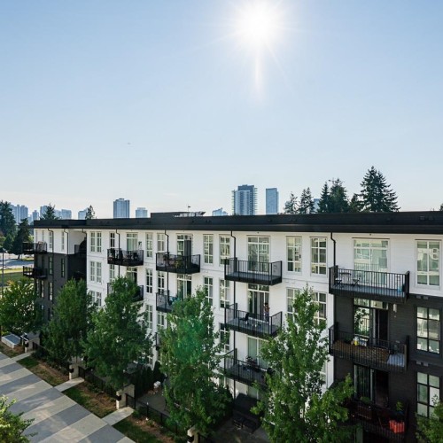 Photo 28 at 519 - 13963 105 Boulevard, Whalley, North Surrey Photo 28 at 519 - 13963 105 Boulevard, Whalley, North Surrey