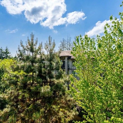 Photo 28 at 509 - 8717 160 Street, Fleetwood Tynehead, Surrey Photo 28 at 509 - 8717 160 Street, Fleetwood Tynehead, Surrey