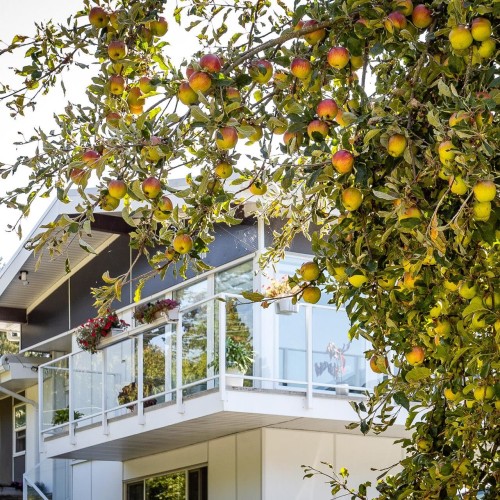 Photo 4 at 11906 100 Avenue, Royal Heights, North Surrey Photo 4 at 11906 100 Avenue, Royal Heights, North Surrey