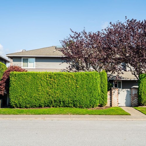 Photo 38 at 104 - 6109 Boundary Drive West, Panorama Ridge, Surrey Photo 38 at 104 - 6109 Boundary Drive West, Panorama Ridge, Surrey