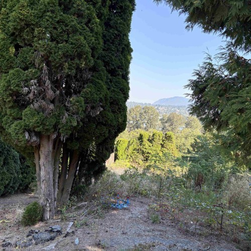 Photo 2 at 13993 116 Avenue, Royal Heights, North Surrey Photo 2 at 13993 116 Avenue, Royal Heights, North Surrey