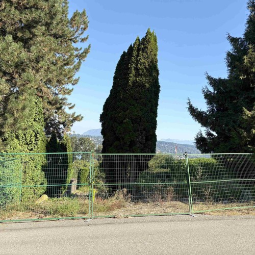 Photo 3 at 13993 116 Avenue, Royal Heights, North Surrey Photo 3 at 13993 116 Avenue, Royal Heights, North Surrey