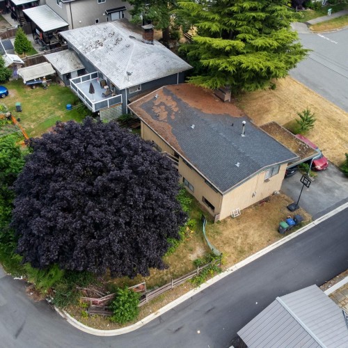 Photo 36 at 14635 59a Avenue, Sullivan Station, Surrey Photo 36 at 14635 59a Avenue, Sullivan Station, Surrey