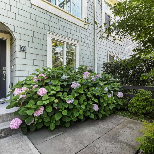 Photo 32 at 24 - 15487 99a Avenue, Guildford, North Surrey Photo 32 at 24 - 15487 99a Avenue, Guildford, North Surrey