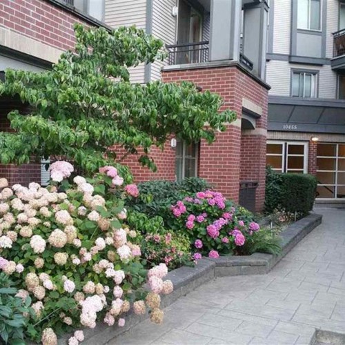 Photo 1 at 402 - 10455 University Drive, Whalley, North Surrey Photo 1 at 402 - 10455 University Drive, Whalley, North Surrey