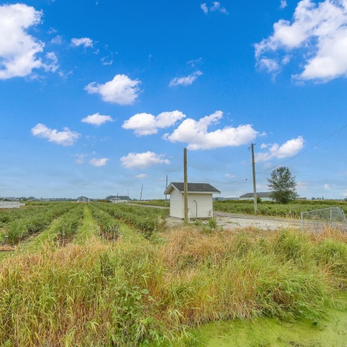 Photo 17 at 17027 40 Avenue, Serpentine, Cloverdale Photo 17 at 17027 40 Avenue, Serpentine, Cloverdale