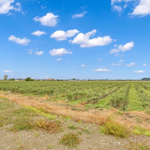 Photo 5 at 17027 40 Avenue, Serpentine, Cloverdale Photo 5 at 17027 40 Avenue, Serpentine, Cloverdale