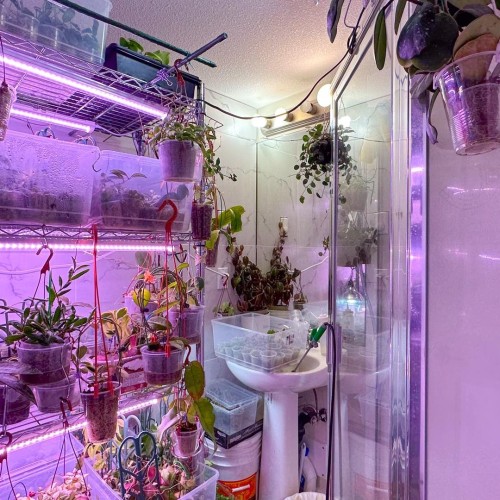 Photo 28 at 152 - 16177 83 Avenue, Fleetwood Tynehead, Surrey Photo 28 at 152 - 16177 83 Avenue, Fleetwood Tynehead, Surrey