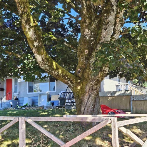 Photo 2 at 10564 137a Street, Whalley, North Surrey Photo 2 at 10564 137a Street, Whalley, North Surrey